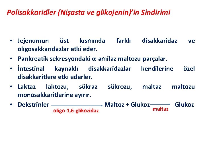 Polisakkaridler (Nişasta ve glikojenin)’in Sindirimi • Jejenumun üst kısmında farklı disakkaridaz ve oligosakkaridazlar etki