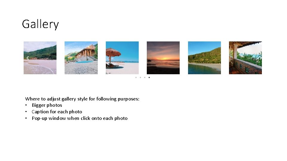 Gallery Where to adjust gallery style for following purposes: • Bigger photos • Caption