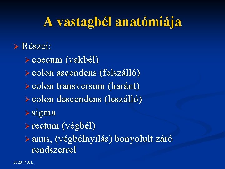 A vastagbél anatómiája Ø Részei: Ø coecum (vakbél) Ø colon ascendens (felszálló) Ø colon A vastagbél anatómiája Ø Részei: Ø coecum (vakbél) Ø colon ascendens (felszálló) Ø colon