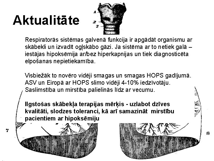 Aktualitāte Respiratorās sistēmas galvenā funkcija ir apgādāt organismu ar skābekli un izvadīt ogļskābo gāzi.