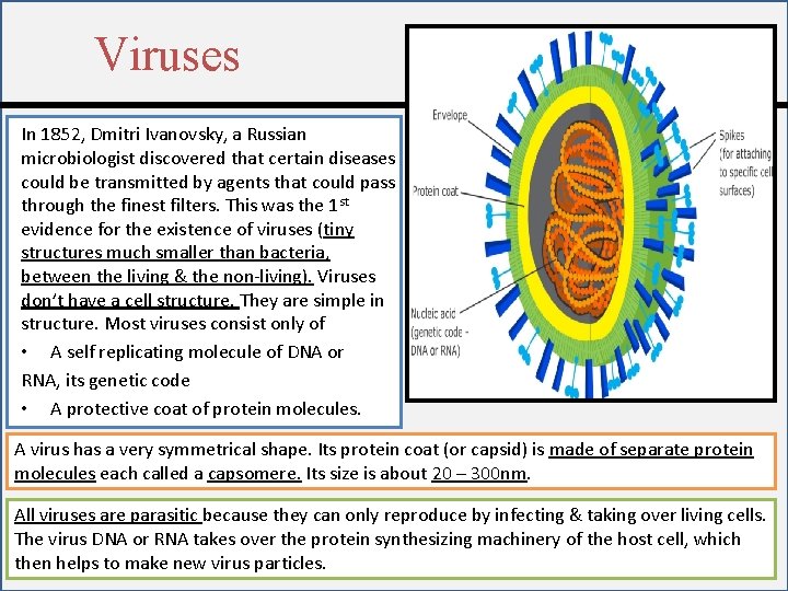 Viruses In 1852, Dmitri Ivanovsky, a Russian microbiologist discovered that certain diseases could be