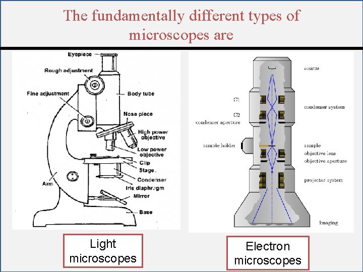 The fundamentally different types of microscopes are Light microscopes Electron microscopes 