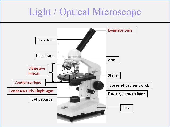 Light / Optical Microscope Eyepiece Lens Body tube Nosepiece Objective lenses Condenser lens Condenser