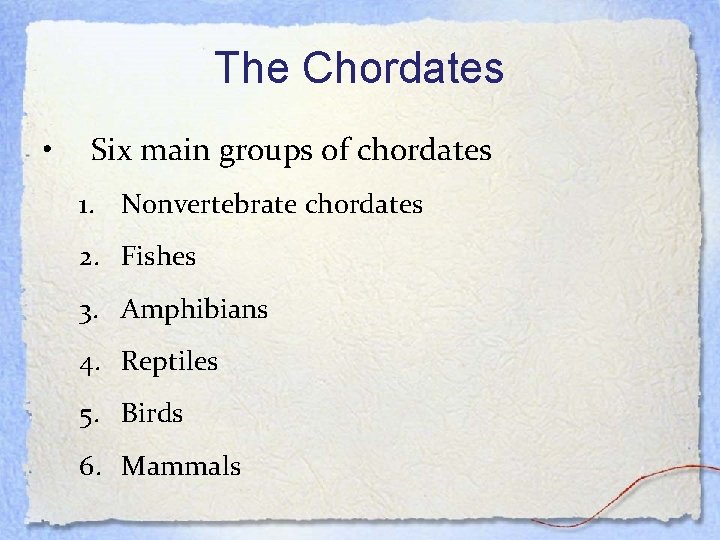 The Chordates • Six main groups of chordates 1. Nonvertebrate chordates 2. Fishes 3.