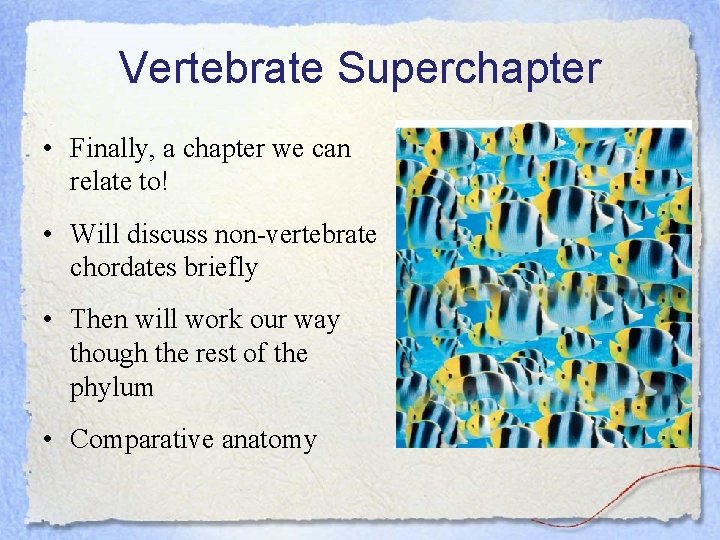 Vertebrate Superchapter • Finally, a chapter we can relate to! • Will discuss non-vertebrate