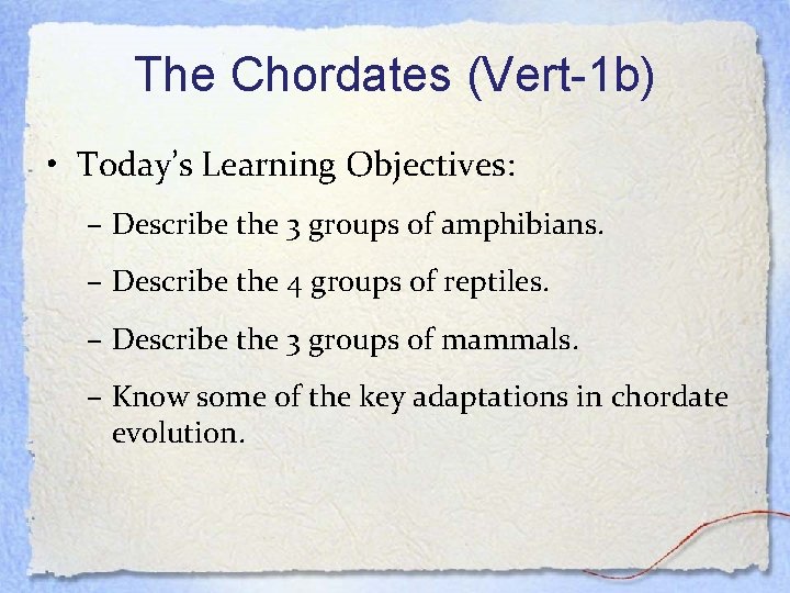 The Chordates (Vert-1 b) • Today’s Learning Objectives: – Describe the 3 groups of