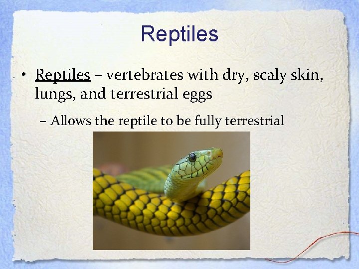 Reptiles • Reptiles – vertebrates with dry, scaly skin, lungs, and terrestrial eggs –