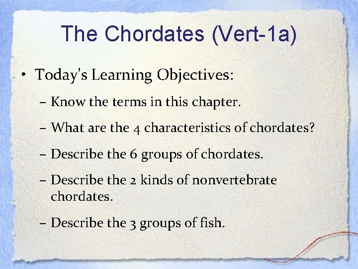 The Chordates (Vert-1 a) • Today’s Learning Objectives: – Know the terms in this