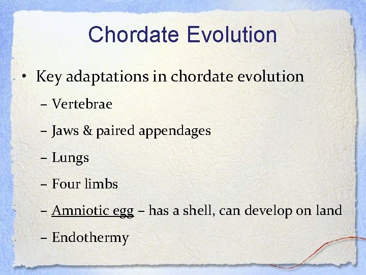 Chordate Evolution • Key adaptations in chordate evolution – Vertebrae – Jaws & paired