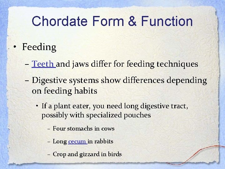 Chordate Form & Function • Feeding – Teeth and jaws differ for feeding techniques