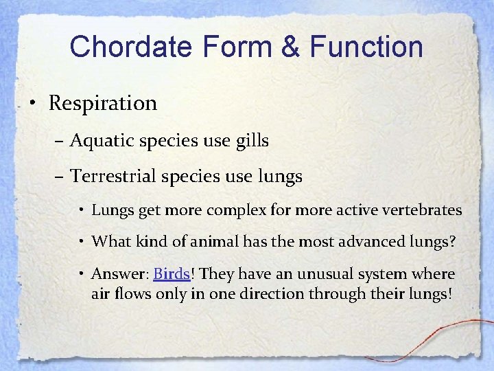 Chordate Form & Function • Respiration – Aquatic species use gills – Terrestrial species
