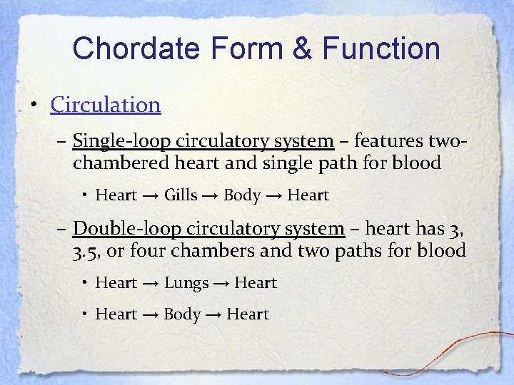 Chordate Form & Function • Circulation – Single-loop circulatory system – features twochambered heart