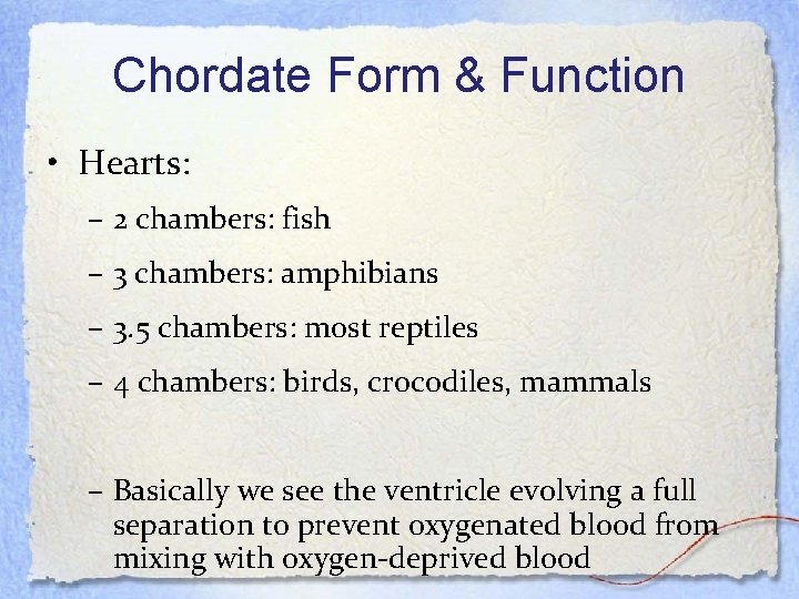 Chordate Form & Function • Hearts: – 2 chambers: fish – 3 chambers: amphibians