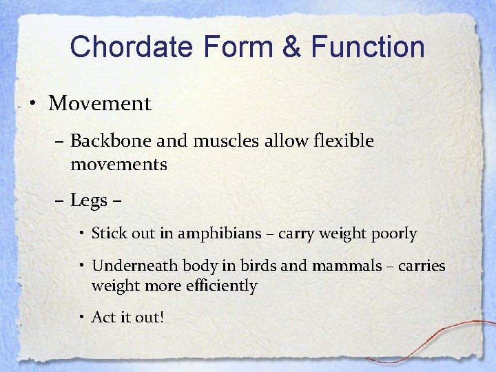 Chordate Form & Function • Movement – Backbone and muscles allow flexible movements –