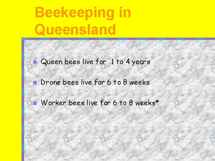 Beekeeping in Queensland n Queen bees live for 1 to 4 years n Drone