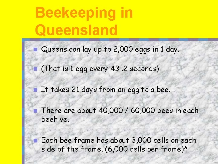 Beekeeping in Queensland n Queens can lay up to 2, 000 eggs in 1
