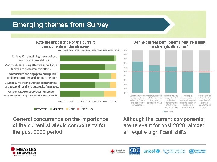 Emerging themes from Survey Rate the importance of the current components of the strategy