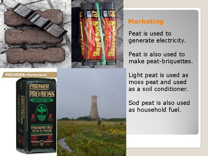 Marketing Peat is used to generate electricity. Peat is also used to make peat-briquettes.