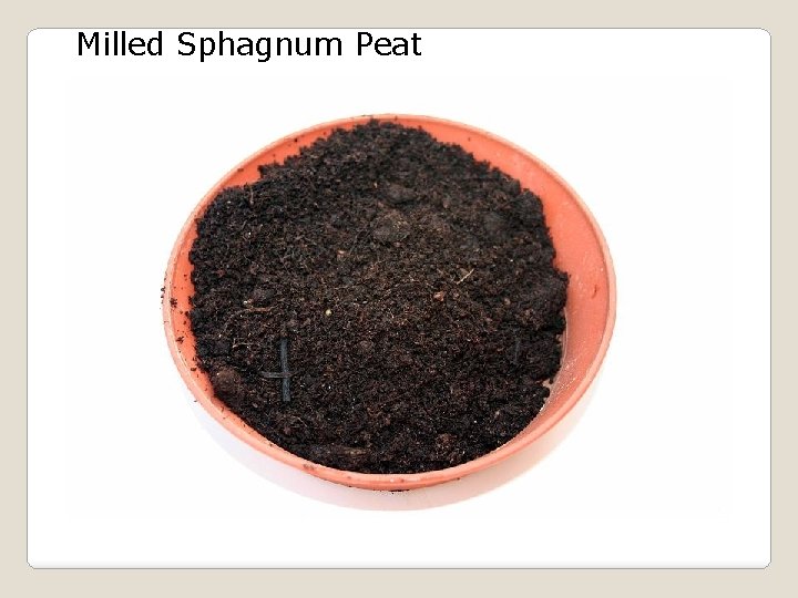 Milled Sphagnum Peat 