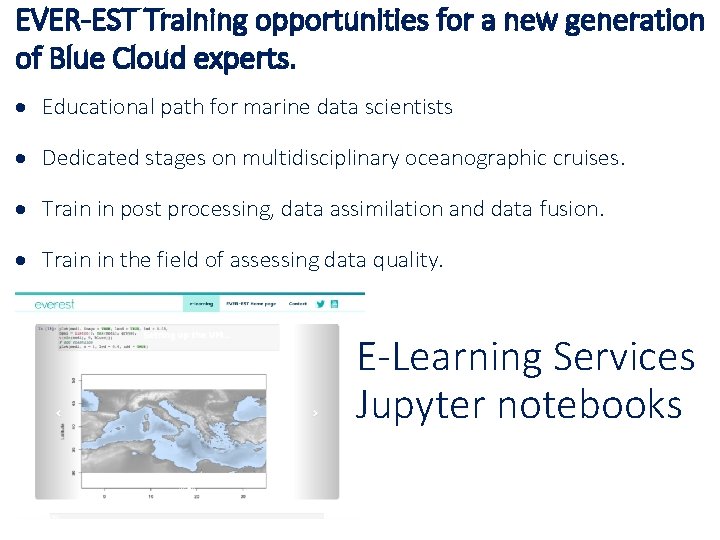 EVER-EST Training opportunities for a new generation of Blue Cloud experts. Educational path for