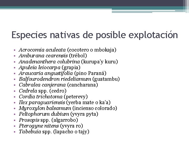 Especies nativas de posible explotación • • • • Acrocomia aculeata (cocotero o mbokaja)