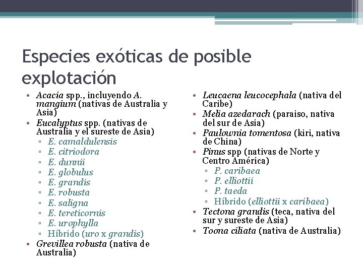 Especies exóticas de posible explotación • Acacia spp. , incluyendo A. mangium (nativas de