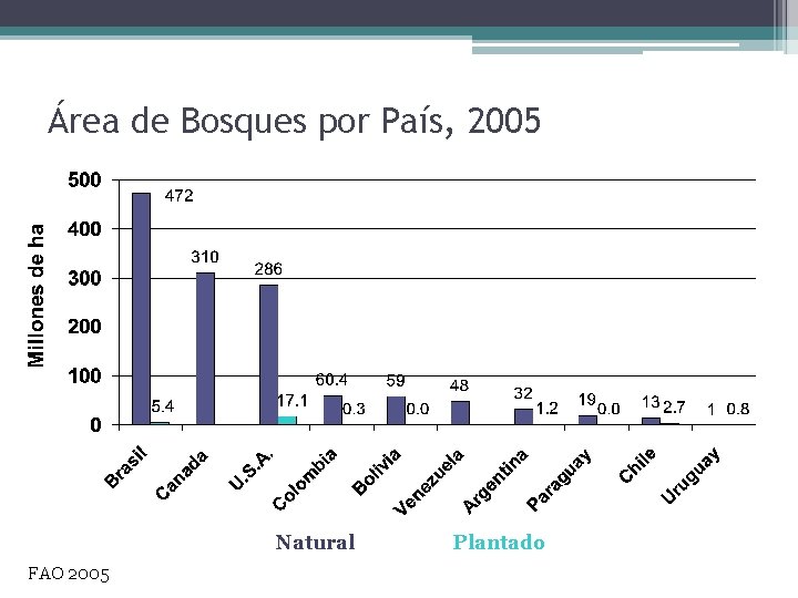 Área de Bosques por País, 2005 Natural FAO 2005 Plantado 