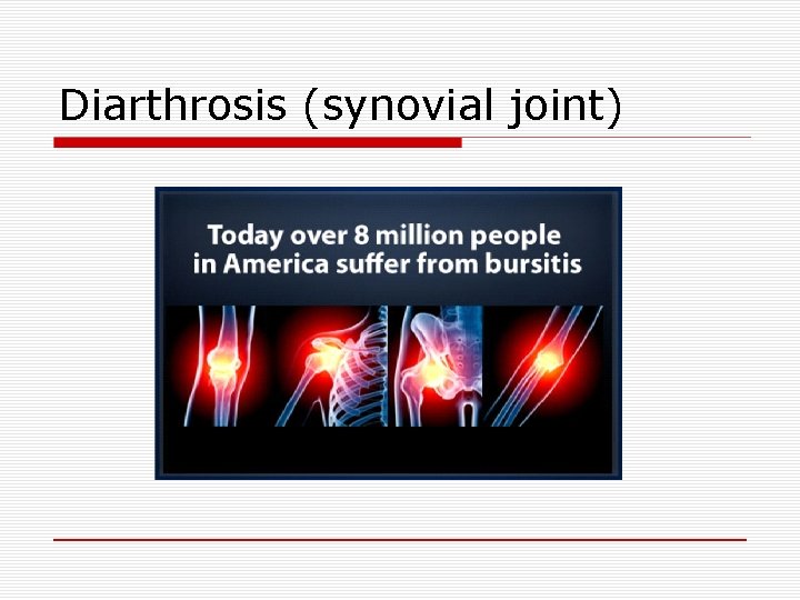 Diarthrosis (synovial joint) 