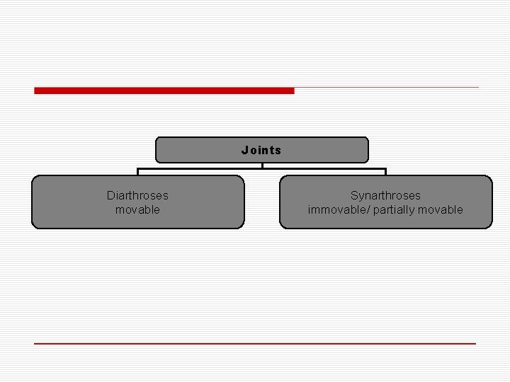 Joints Diarthroses movable Synarthroses immovable/ partially movable 