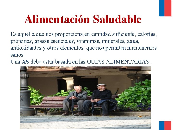 Alimentación Saludable Es aquella que nos proporciona en cantidad suficiente, calorías, proteínas, grasas esenciales,