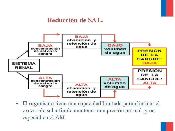 Reducción de SAL. • humano tiene una capacidad limitada para botar el • exceso