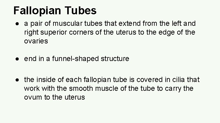 Fallopian Tubes ● a pair of muscular tubes that extend from the left and