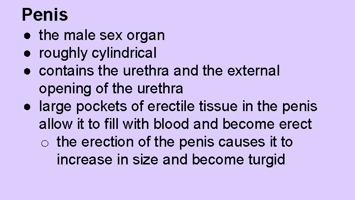 Penis ● the male sex organ ● roughly cylindrical ● contains the urethra and