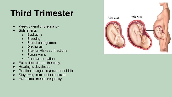 Third Trimester ● ● ● ● Week 27 -end of pregnancy Side effects: o