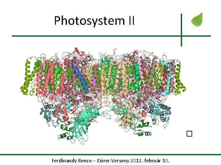 Photosystem II � Ferdinandy Bence – Dürer Verseny 2012. február 10. 