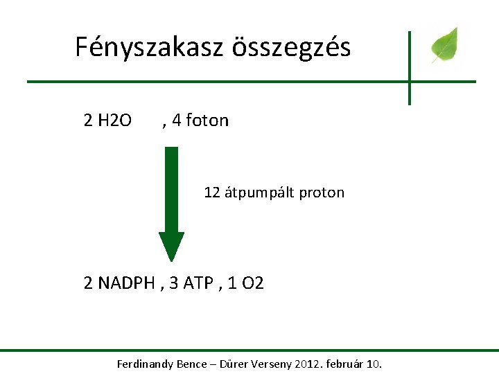Fényszakasz összegzés 2 H 2 O , 4 foton 12 átpumpált proton 2 NADPH