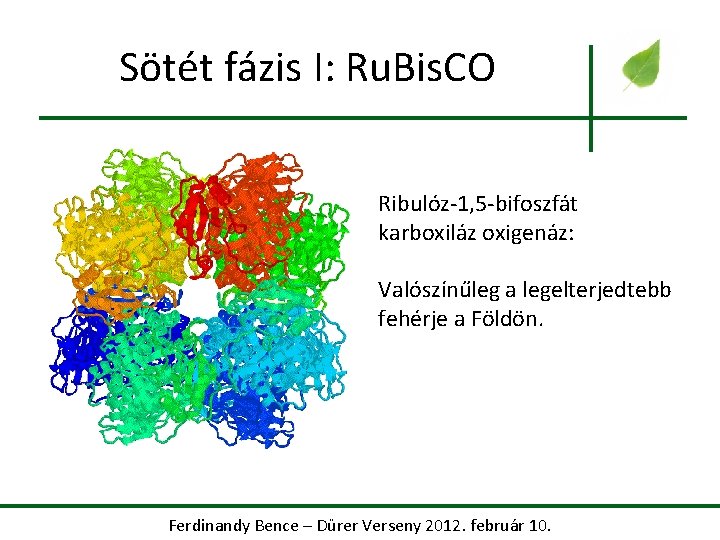 Sötét fázis I: Ru. Bis. CO Ribulóz-1, 5 -bifoszfát karboxiláz oxigenáz: Valószínűleg a legelterjedtebb