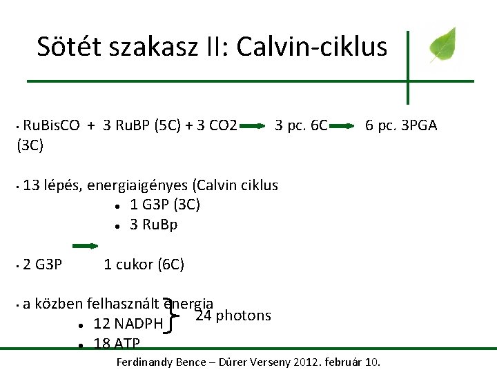 Sötét szakasz II: Calvin-ciklus Ru. Bis. CO + 3 Ru. BP (5 C) +