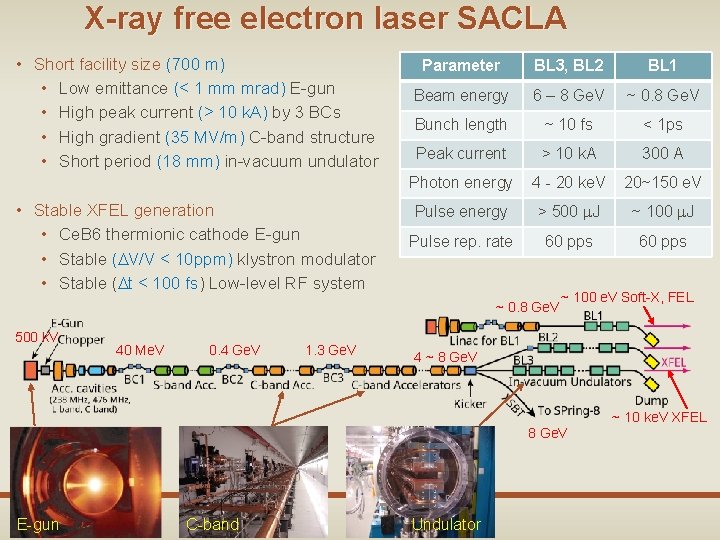 X-ray free electron laser SACLA • Short facility size (700 m) • Low emittance