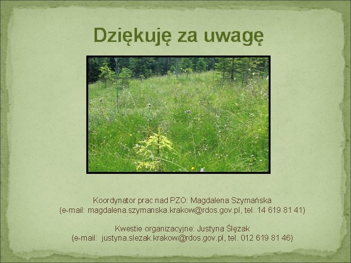 Dziękuję za uwagę Koordynator prac nad PZO: Magdalena Szymańska (e-mail: magdalena. szymanska. krakow@rdos. gov.