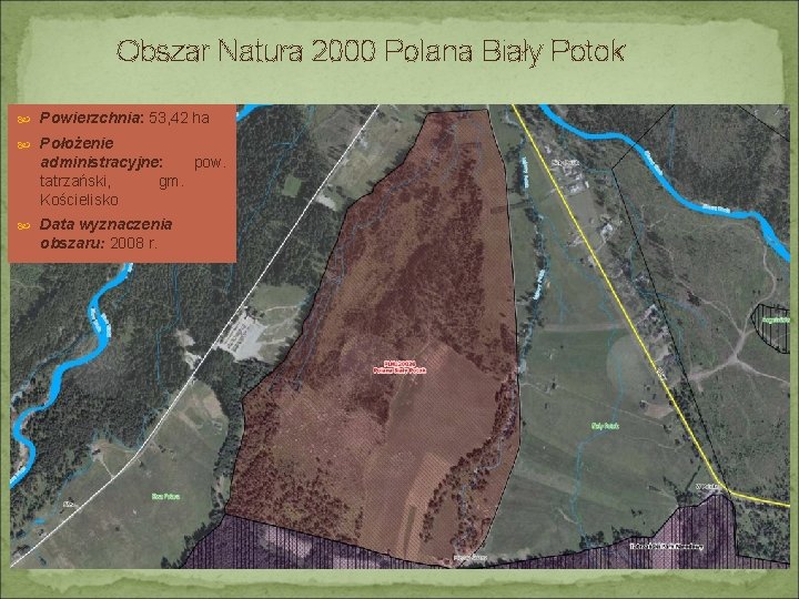 Obszar Natura 2000 Polana Biały Potok Powierzchnia: 53, 42 ha Położenie administracyjne: pow. tatrzański,