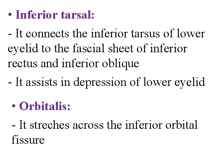  • Inferior tarsal: - It connects the inferior tarsus of lower eyelid to