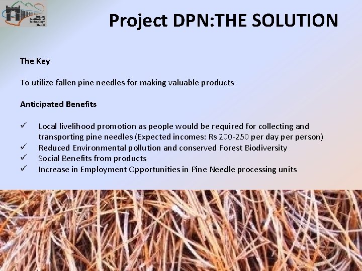 Project DPN: THE SOLUTION The Key To utilize fallen pine needles for making valuable