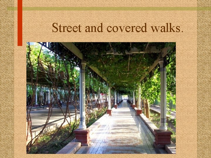 Street and covered walks. 