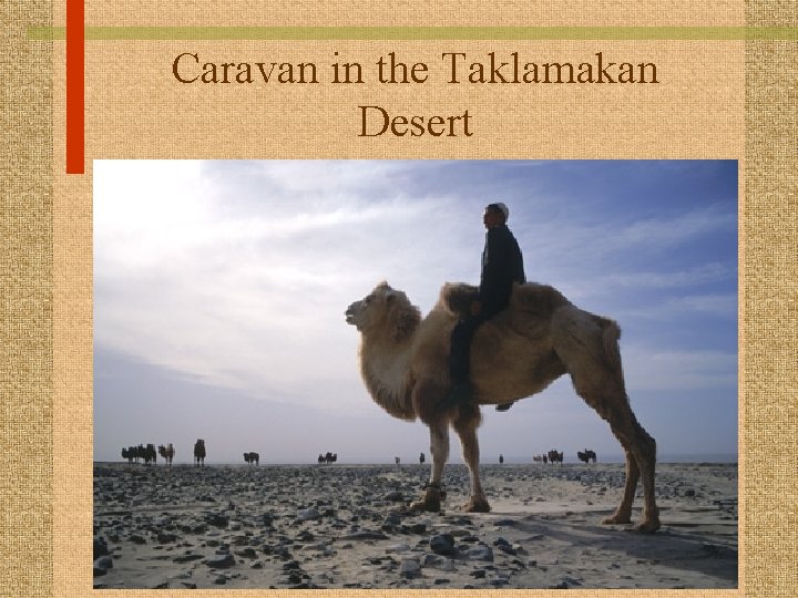 Caravan in the Taklamakan Desert 