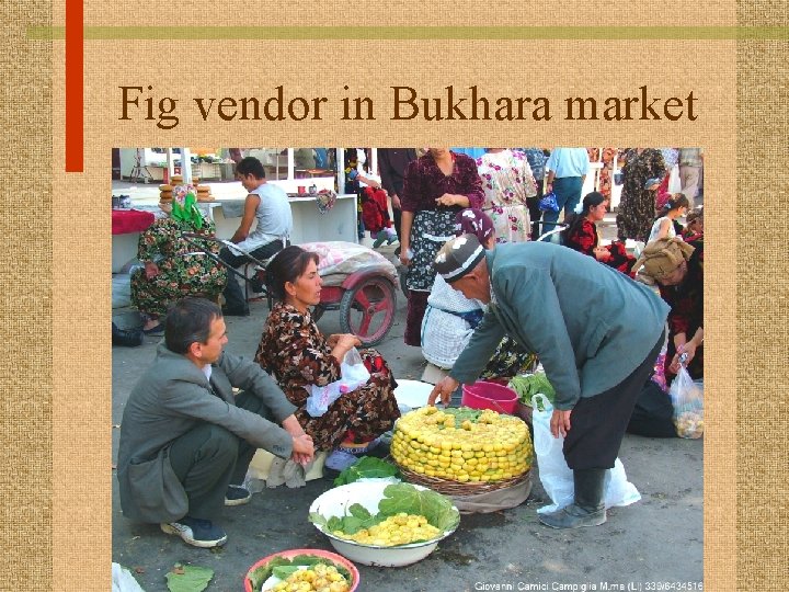 Fig vendor in Bukhara market 