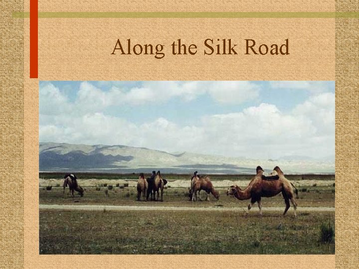 Along the Silk Road 