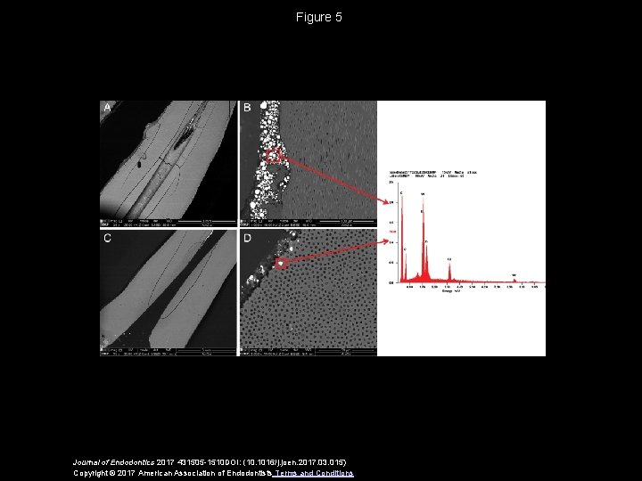 Figure 5 Journal of Endodontics 2017 431505 -1510 DOI: (10. 1016/j. joen. 2017. 03.