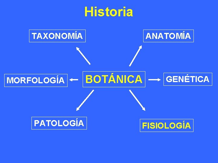 Historia TAXONOMÍA MORFOLOGÍA PATOLOGÍA ANATOMÍA BOTÁNICA GENÉTICA FISIOLOGÍA 