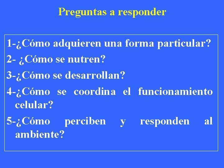 Preguntas a responder 1 -¿Cómo adquieren una forma particular? 2 - ¿Cómo se nutren?